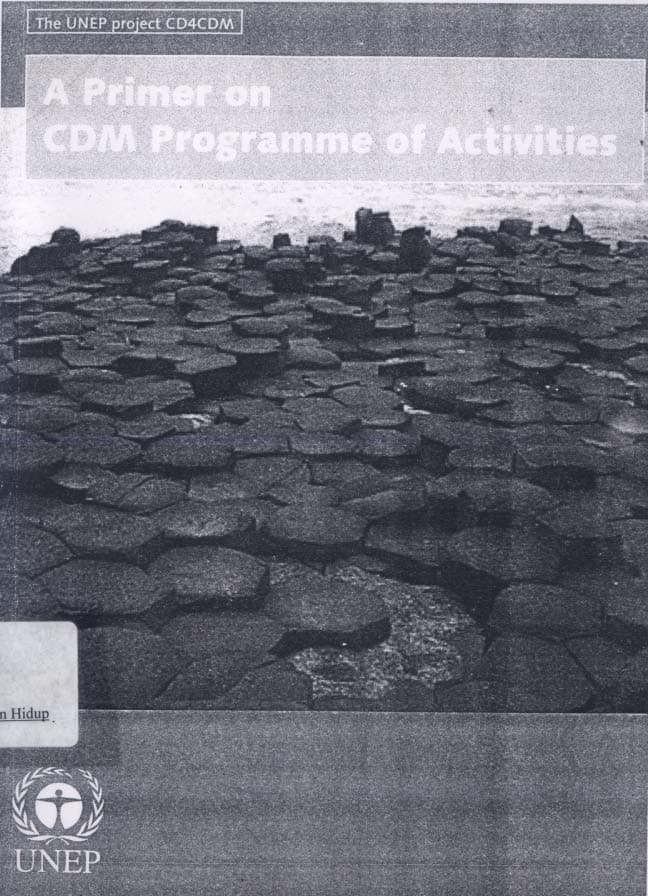 A Primer on CDM programme of activities