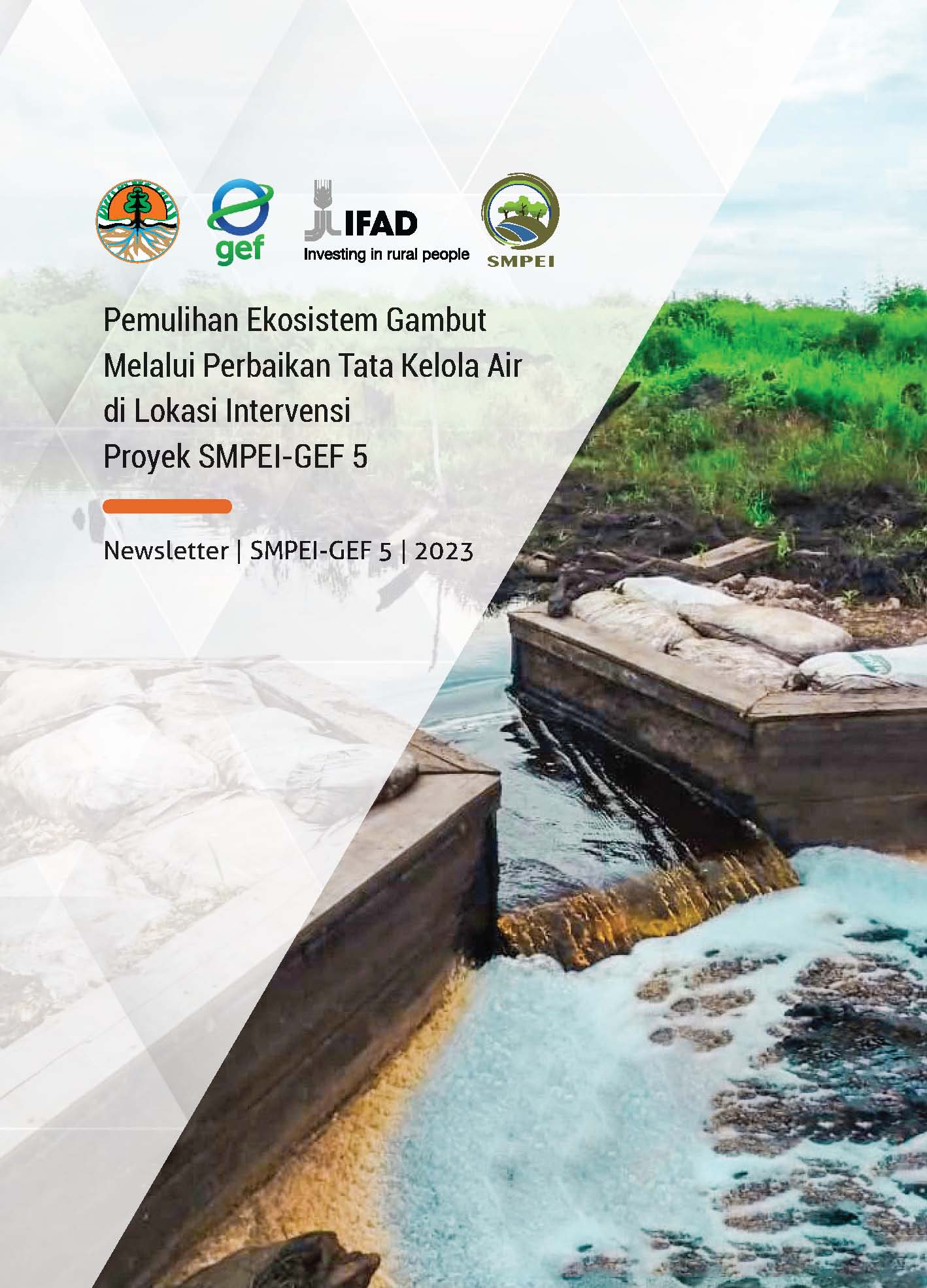 Cover Pemulihan Ekosistem Gambut Melalui Perbaikan Tata Kelola Air di Lokasi Intervensi Proyek SMPEI-GEF 5
