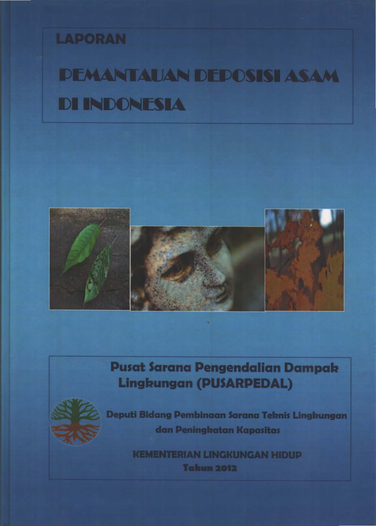Cover LAPORAN PEMANTAUAN DEPOSISI ASAM DI INDONESIA
