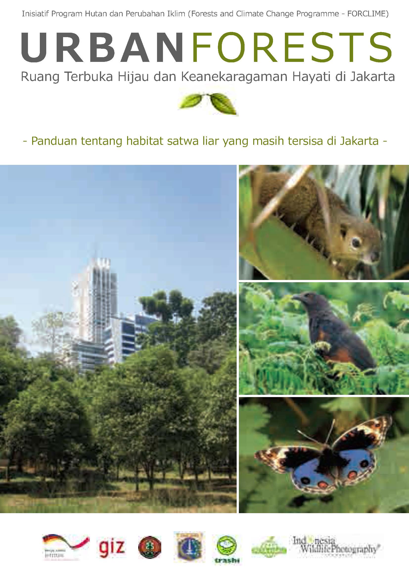 Cover RUANG TERBUKA HIJAU DAN KEANEKARAGAMAN HAYATI DI JAKARTA