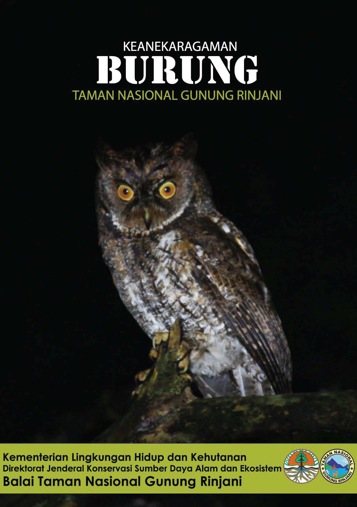 Cover KEANEKARAGAMAN BURUNG TAMAN NASIONAL GUNUNG RINJANI