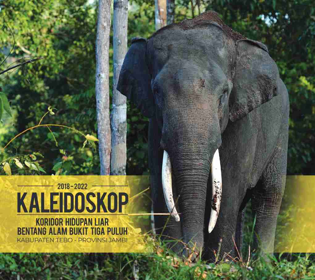 Cover KALEIDOSKOP Koridor hidupan liar bentang alam bukir tiga puluh kab. Tebo, Provinsi Jambi 2018-2022